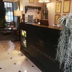 *** Hotel De La Treille Francia